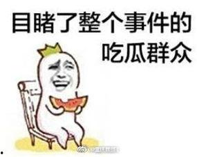 娱乐吃瓜酱制造舆论,揭秘娱乐圈幕后风云，制造舆论热点